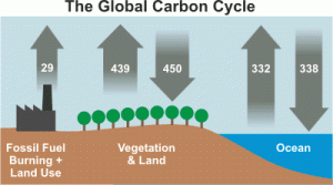 While burning fossil fuels only contributes to a small amount of CO2 emissions into the atmosphere, the land and ocean can only absorb 40% of it. Thus, that remaining CO2 is trapped in the earth's atmosphere and warming the planet.
