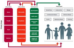 Here is a chart of all the health effects that stem from climate change. And yes, it's not pretty as you see.