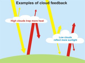 While it's somehow believed that negative cloud feedback could reduce climate change, most studies have ruled it out since clouds don't provide much negative feedback at all. And it's believed that clouds might cause the planet to warm even further.