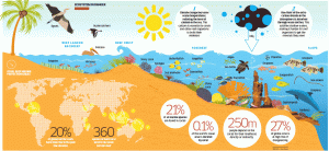 One of the most insidious effects of global warming is ocean acidification. As we speak the rise of CO2 emissions is changing the chemistry of the oceans as we speak, threatening the existence of entire marine ecosystems and food chains. Not to mention, the millions of people who rely on such an ecosystem for food and income. Even a small change in the pH can mean a catastrophe. 