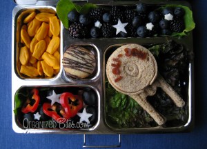 Well, it's nutritious all right. Doesn't hurt that the sandwich is shaped like the Enterprise.