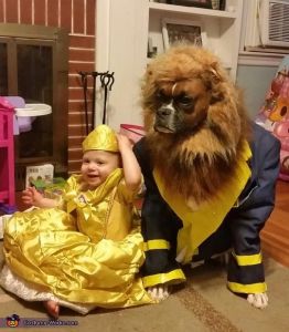 That's just so cute. Here they have a little baby as Belle. And a boxer as the Beast. The dog doesn't seem pleased.