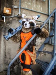 And it seems that he's brought the big guns. Then again, as a raccoon, he doesn't expect to live long anyway.