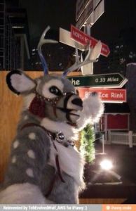 Odd, because I thought Santa's reindeer were at the North Pole 24/7 save Christmas Eve. Then again, I may be wrong.