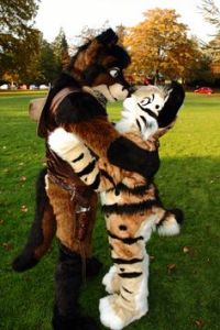 Who said cats and dogs can't get a long? Well, this is kind of cute in its own way.