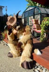 Because he's a cow, possibly a Texas Longhorn. Though I can't say whether he's a bull or steer.