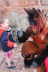 He even has his hooves shoed and is well bridled. Plus, he's great with kids.