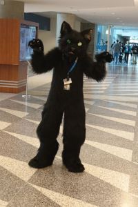 Wasn't a cat like this featured in an Edgar Allan Poe story? Then again, it's missing a pupil.