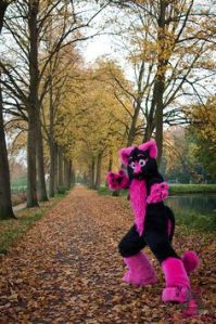 As you can see, furry costumes don't always have to be in natural colors. This one is in pink and black. And is sure to stand out 24/7.