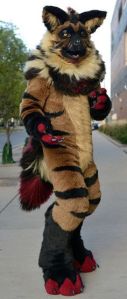 Not that you'd want to in the wild. Also, I hyenas aren't cuddly at all by any stretch.