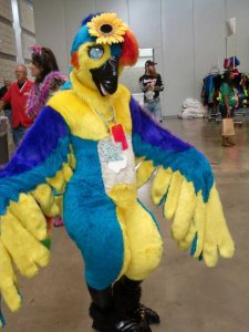 And what a colorful bird she is. Yet, I bet the male counterpart of her species is even more fantastic looking.