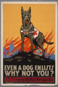Man, they really tried to put men on guilt trips during WWI. Yet, here's scruffy in his Red Cross glory. One dog in that war was even made a sergeant (no joke).
