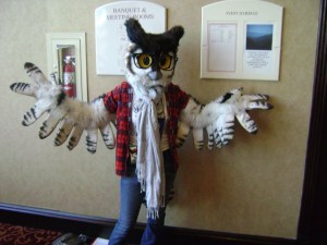 Because after all, it's active at night. So you're not going to see it out and about anyway.