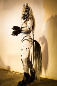 Okay, that's a joke I couldn't resist. But she does have a nice mane and tail.
