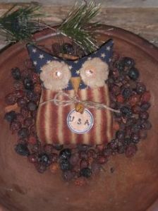 I know our country's symbol is the bald eagle. But this is so cute that I had to put it on this post.