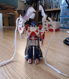 Then again, maybe you wouldn't. But this looks really funny and just cracks me up. Love the laces.