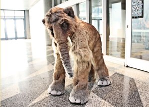 Yes, that's supposed to be a mastodon which is now extinct. But this costume is pretty cool.