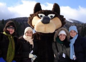 The Sarajevo IOC at the time said, "The happy Vucko is the symbol of man's centuries-old efforts to conquer nature, to gain friendship from a beast, to make a wolf become Vucko." One city official remarked, "Grandparents used to tell stories of the wolves in the mountains around Sarajevo to scare children. Now, they fall asleep with Vucko in their arms. There isn't a child without one." I find it hard to believe that anyone in Sarajevo would want to sleep with a jacked up Wiley E. Coyote. Then again, his redesign does have the makings of a great college mascot.