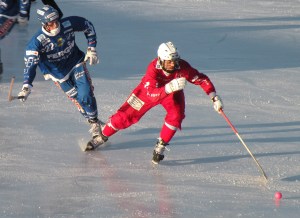 Bandy_players