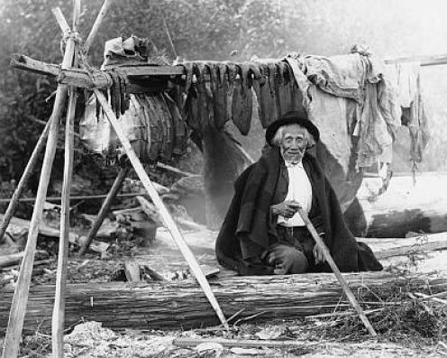 f7d6acb66b494224c4c4d98934e0dccb