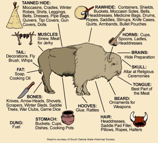 Uses of the Buffalo