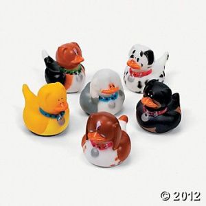 Don't ask me why they have dog rubber ducks. I'm not the one who came up with that. Seriously, I'm just as stumped as you are.