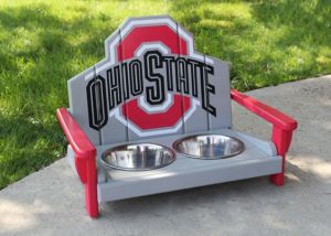 Because your dog will really be grateful that you did. Though Rover would've been just as happy if you bought a plain one for less money.