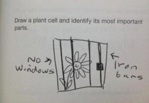 No, I don't think an imprisoned flower is what the teacher had in mind. Perhaps they should think of what they saw in their science book.