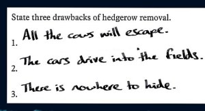 1. Farmers keep cows in through fencing. 2. It's very unlikely cars would run into the fields unless it was under an enchantment or driven by a drunk driver. 3. Why do you care?