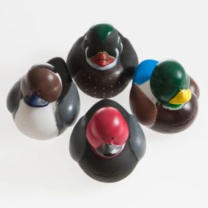Unlike the other rubber ducks I showed you, these are of actual ducks you might see in a pond. You might recognize a few of them.