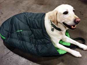 Still, remember that most national and state parks don't allow pets for obvious reasons. So it's very unlikely you'll get to use it.