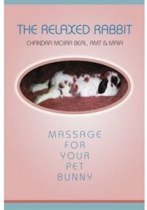 Because massages should relieve stress for almost anybody. Even pet rabbits. Seriously, this is ridiculous. Really.