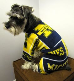 This dog seems to have this: "Kill me now" look in its face. Seriously, dog pajamas? Most dogs don't even wear them.