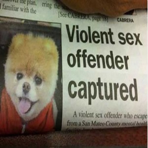 Another case where the article is next to the wrong picture. And they always thought Rover was a good boy.
