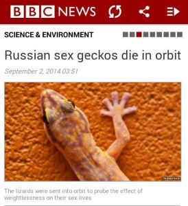 Sex geckos? You have to be serious? Russians were sending geckos to explore their sex lives in space. Yeah, that's ridiculous.