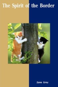 It's a historical novel based on events centering around the Ohio River Valley in the late 18th century. Focuses on a guy who dedicated his life on Native American destruction and protecting white settlement. Not anything cuddly. 