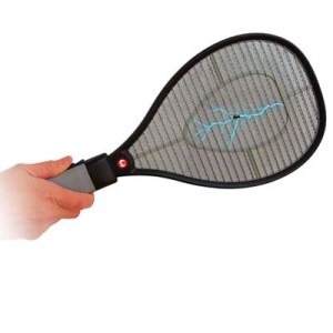 Yes, a racket that will catch those pesky summer bugs. Might make them suffer but do I give a shit about them? No.