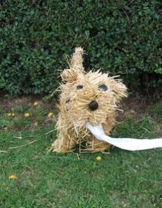 My guess is that it's a little straw terrier. Not sure what it has in its mouth which might be toilet paper.