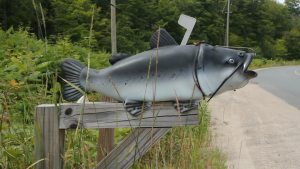 Catfishing is when you meet someone in person you met through phone, mail, or online and they don't turn out to be what they say they are. Yet, this mailbox is of a literal catfish.