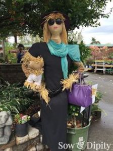 She even has her straw lapdog in a shirt that she has around her arm. Like the purple purse and turquoise scarf.