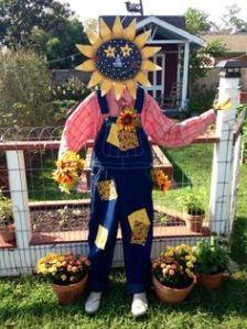 Well, a sunflower head, anyway. Still, seems to make everything seem sunny even in patched overalls.