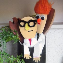 Though if they were real, your kitchen wouldn't be much after they were done with it. Knowing what Beaker goes through putting up with Dr. Honeydew.