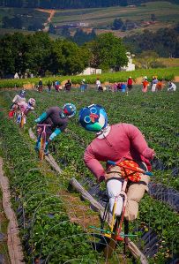 Looks like these guys are having a good time. Wonder if any of them are wearing helmets.