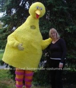Wonder if this is the only guy Big Bird costume. Then again, you don't know who's in this thing.