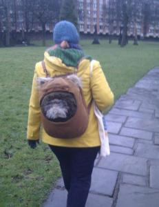 You know those gruesome teddy bears from Return of the Jedi who thought C-3PO was a god? I'm talking about these little guys.