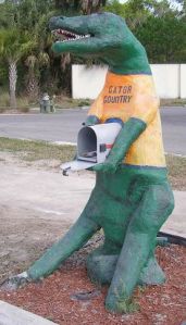 As in Florida Gator country. But note that Florida also has a lot of real alligators, too. And they're not friendly.