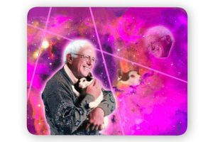 I mean Bernie holding a kitty in the galaxy? Who can resist that?