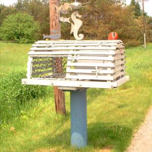 But it's not going to make the lobster happy, isn't it? Still, wonder if it's a real lobster trap. Probably.