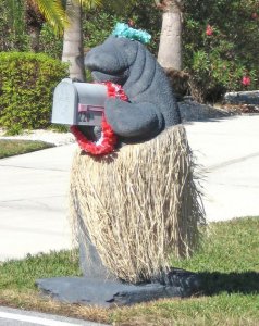 There's someone who seems to dress a manatee mailbox for holidays and special occasions. But I suppose the hula thing is the default mode.