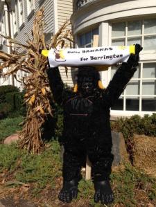 Yes, you read that right. That's a gorilla scarecrow. And it probably consists of a gorilla suit with straw.